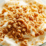 No bake protein cheesecake